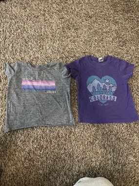 🎀 Purple Colorado Graphic Kids T-Shirt - Unbranded